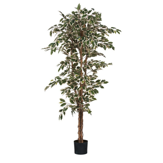 Ficus Kunstplant 180x90