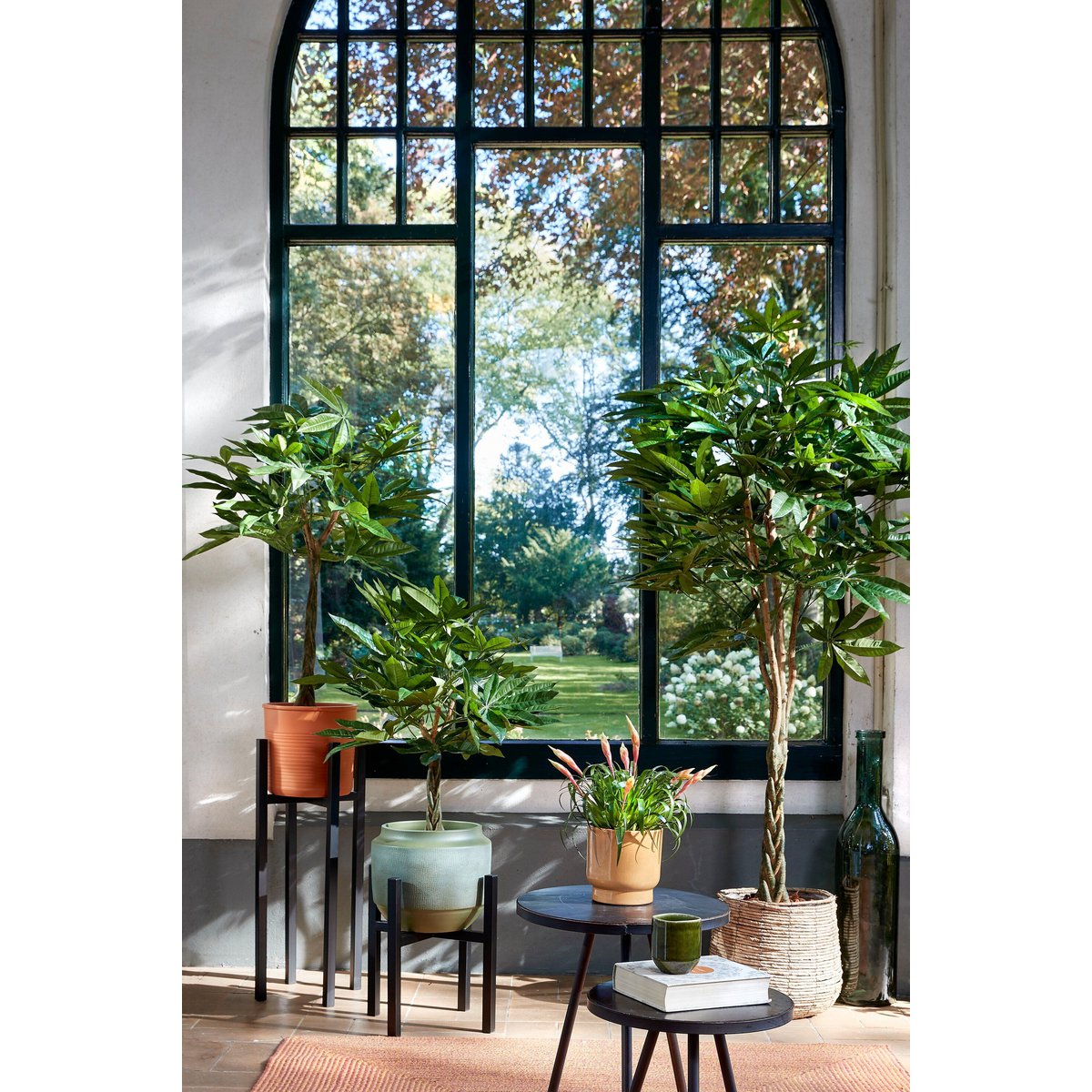 Pachira Kunstplant - Medium