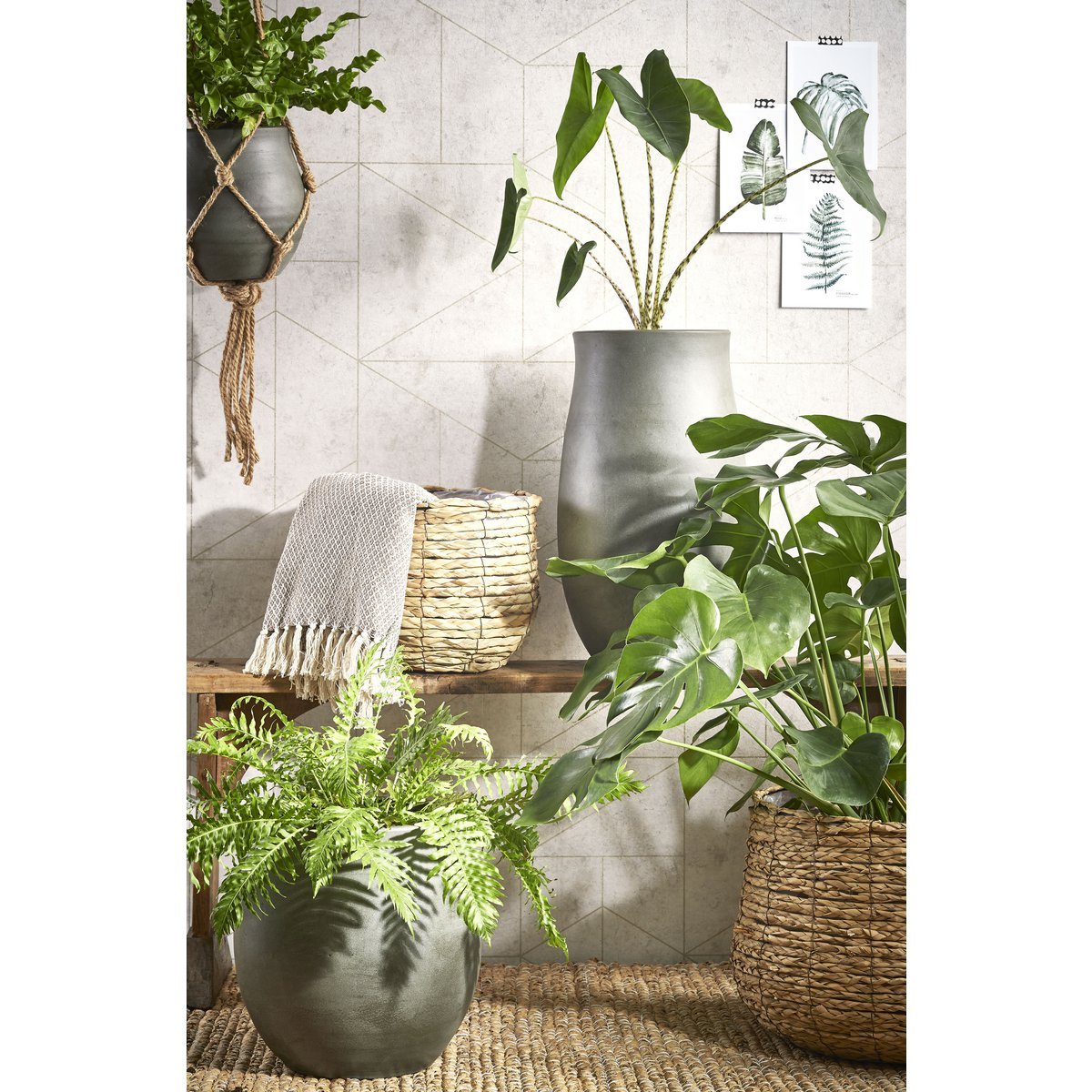 Avalon Plantenmand Set van 3 Klein