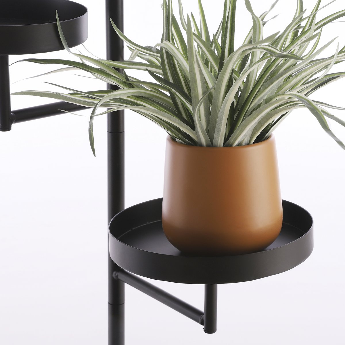 Perry Wandrek - Klein