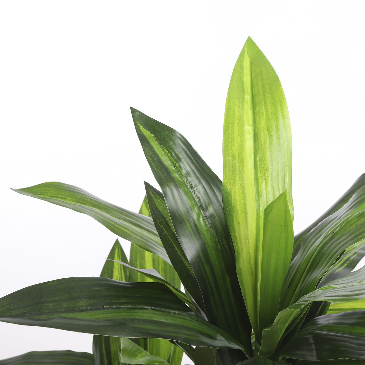 Dracaena Kunstplant - Groot