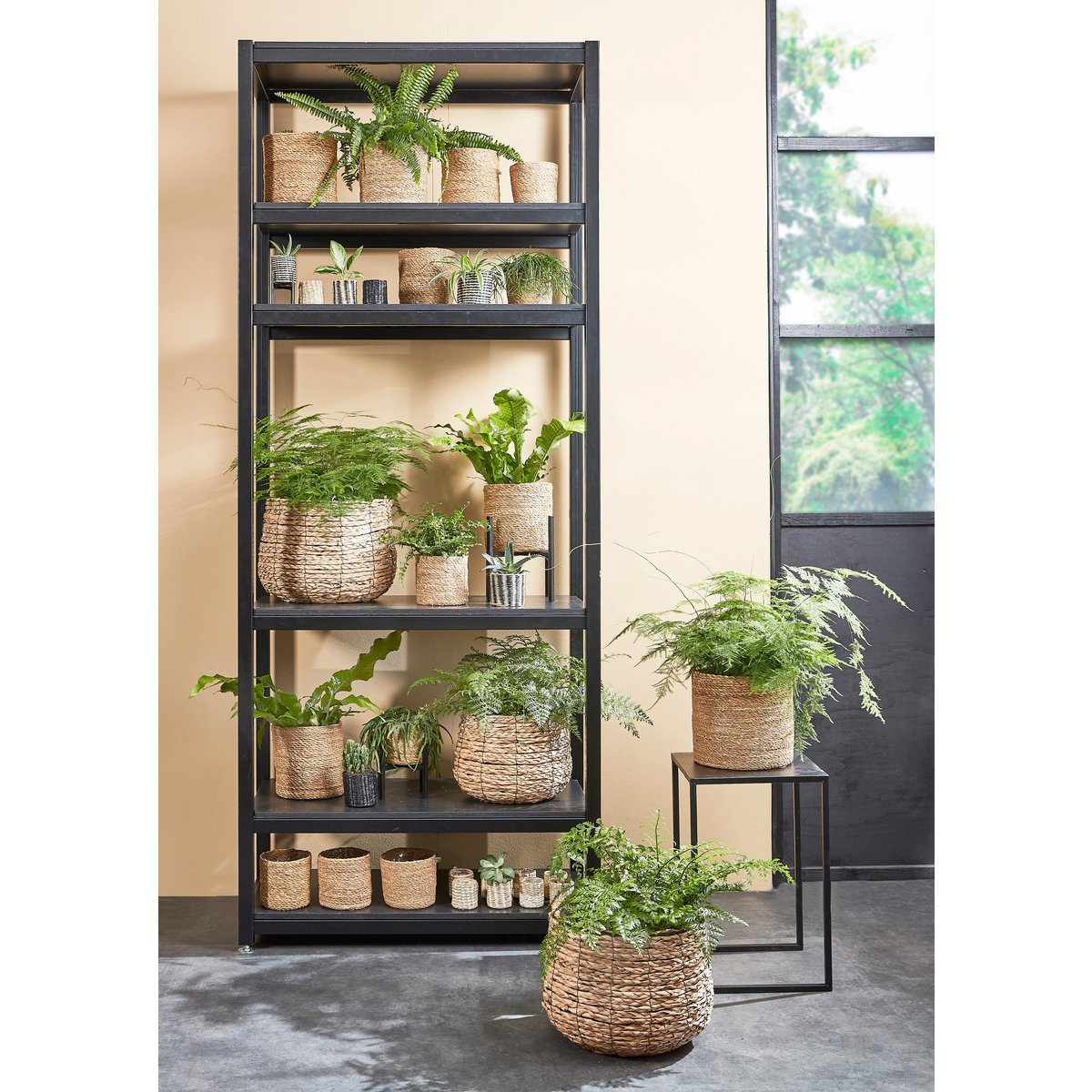 Avalon Plantenmand Set van 3 Klein