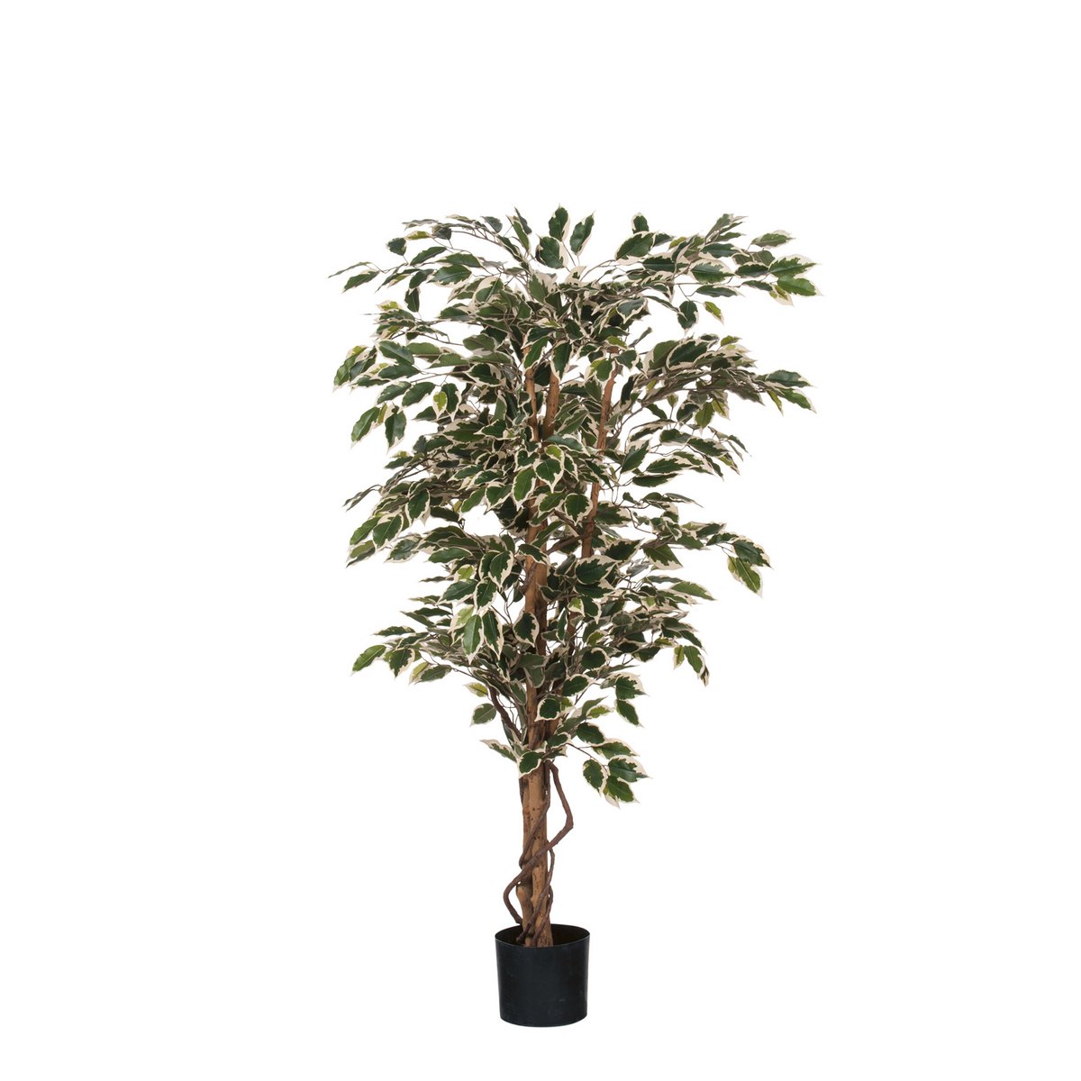 Ficus Kunstplant 150x75