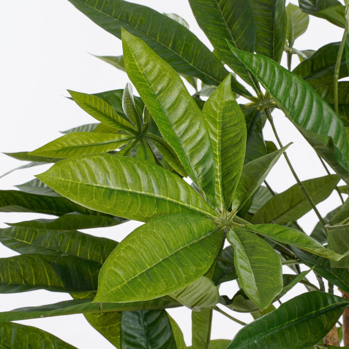 Pachira Kunstplant - Small