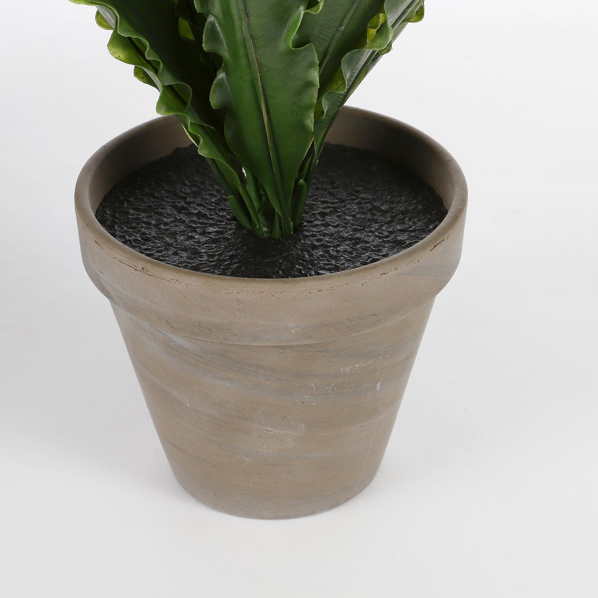 Asplenium Kunstplant