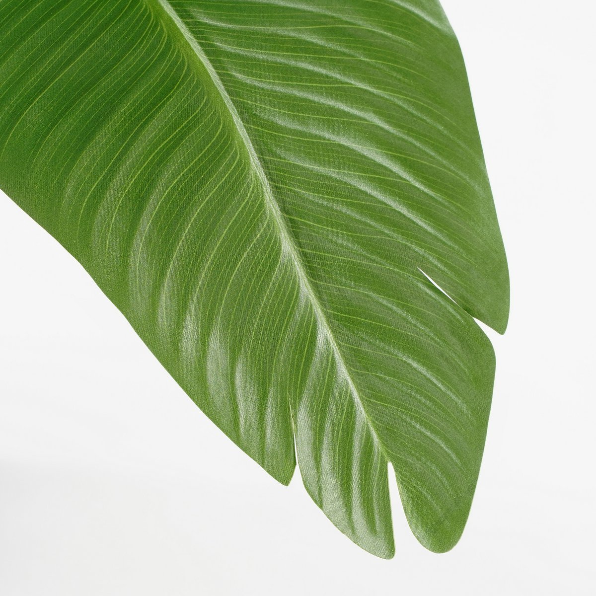 Kunstplant Bananenboom H180 x Ø30
