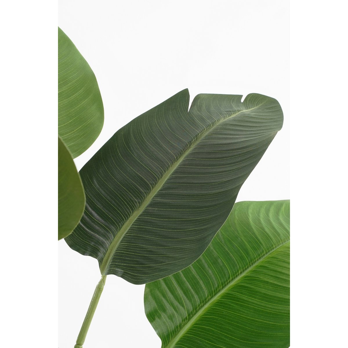 Kunstplant Bananenboom H180 x Ø30