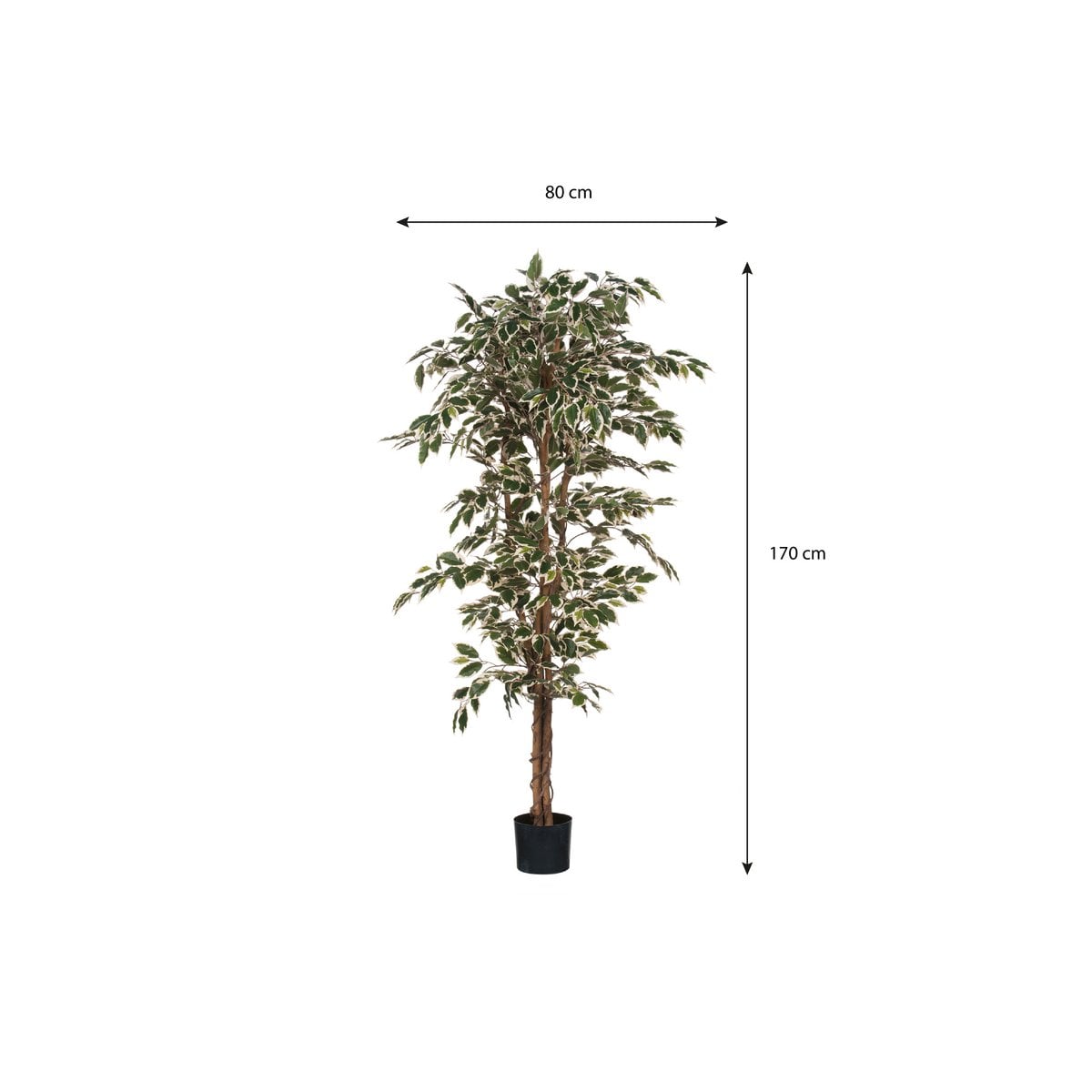 Ficus Kunstplant 180x90