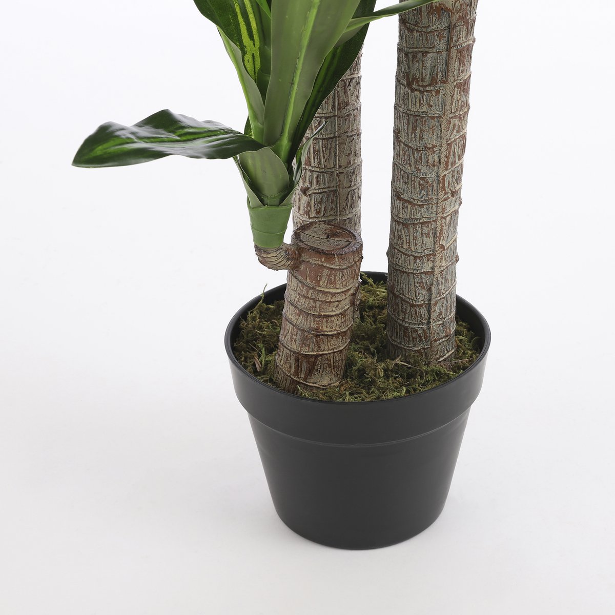Dracaena Kunstplant - Groot