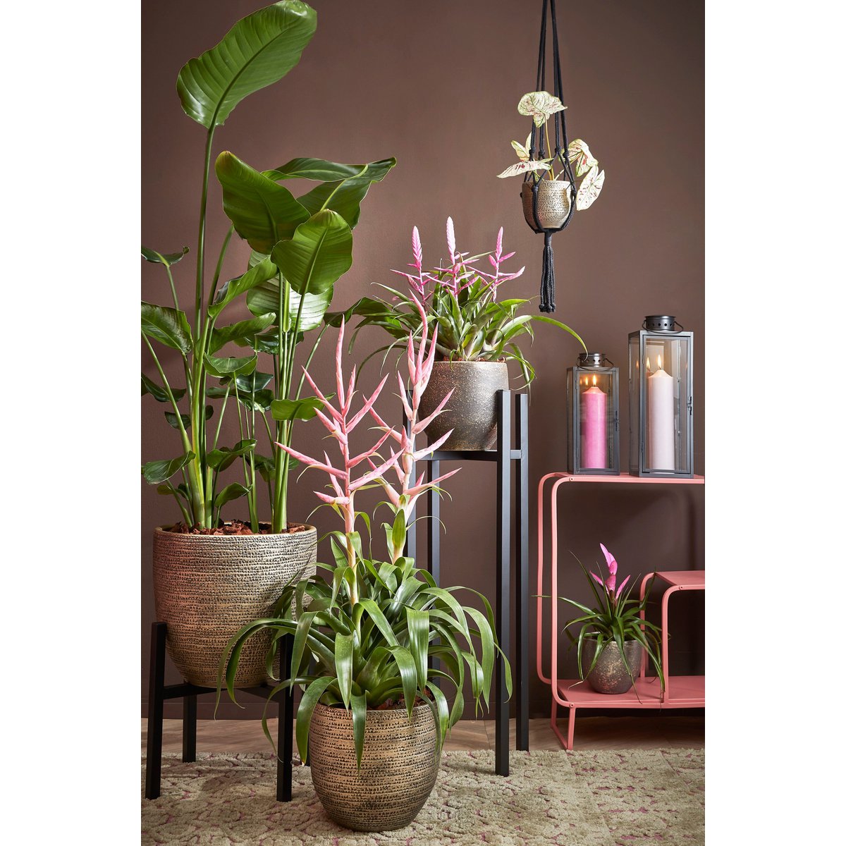 Ascot Plantenstandaard 37,5x37,5x95